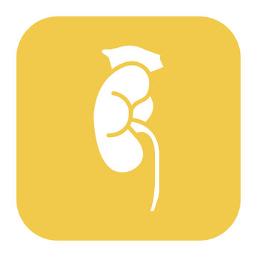 Adrenal Glands Icon