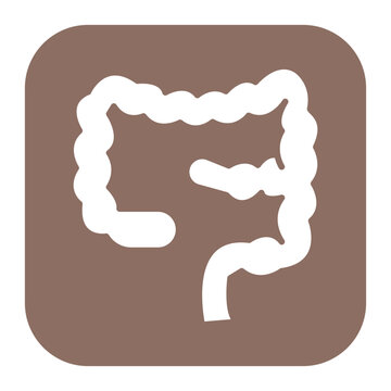 Large Intestine Icon