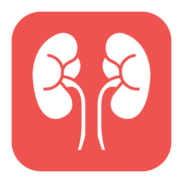 Kidneys Icon
