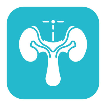 Pituitary Gland Icon