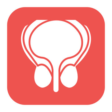 Prostate Icon