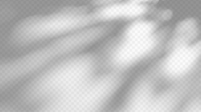 Abstract shadow overlay isolated on transparent background. Dappled light texture on wall surface with soft diffused effect