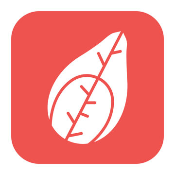 Silk Cocoon Icon
