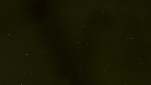 abstract golden bokeh and glowing dust streaks motion loop christmas new year events