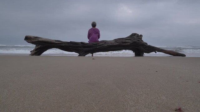 A woman contemplates the ocean from a large piece of driftwood on a sandy shore under a moody sky, reflecting on her life in solitude, symbolizing self-reflection and mental health awareness.
