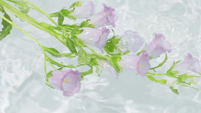 Light purple floral stems floating on water