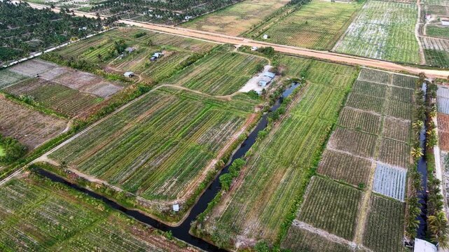 Aerial view sweeps over vast farmland, split by waterways