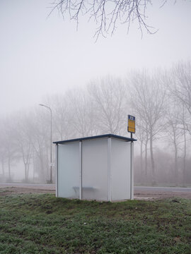 Foggy winter landscape with an empty bus stop and bare trees in cold grey weather. Minimal, moody scene conveying solitude, stillness, and isolation. Ideal for themes of waiting, travel, loneliness.