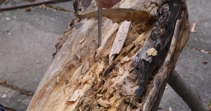 Woodworking carving, crafts-person digging tree trunk using hammer and chisel