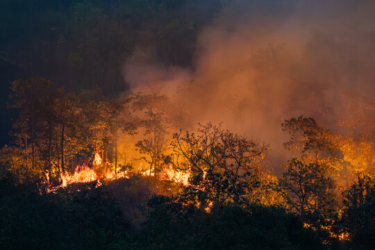Wildfires release carbon dioxide (CO2) emissions and other greenhouse gases (GHG) that contribute to climate change.