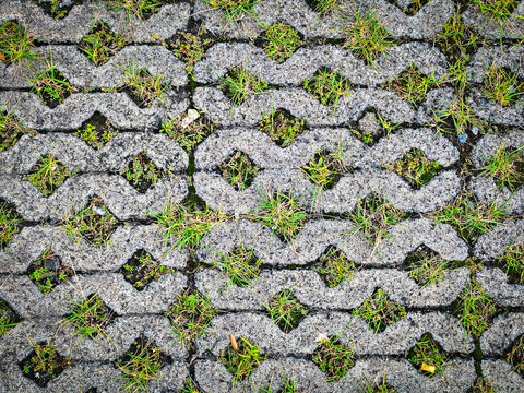Porous driveway paving stones with an interlocking grey grid pattern, combined with clumps of wild green grass and organic textures in a weathered concrete honeycomb geometric pattern.