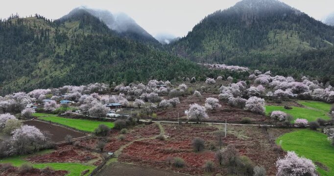 Aerial view of spring landscape in tibet, China