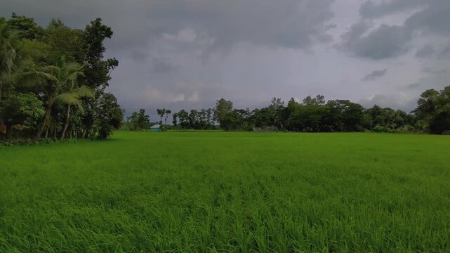 green field and clouds before strrom with wind