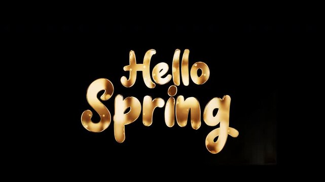 Hello Spring golden text shine light effect animation on black abstract background. Hello Spring text with gold glowing light texture.Isolated alpha channel Apply prores 444