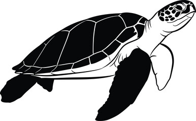 Black and white silhouette illustration of sea turtle swimming with detailed shell, flippers, and marine life anatomy © uzzala