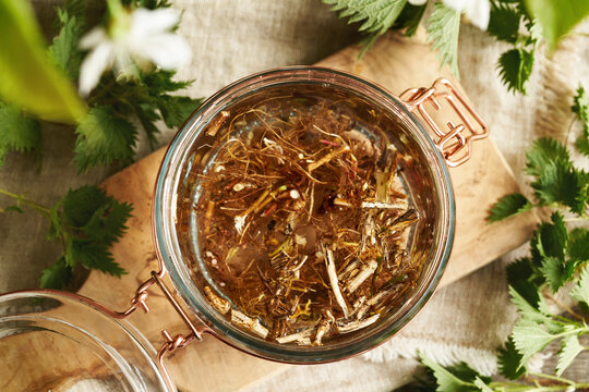 Preparation of nettle root tincture