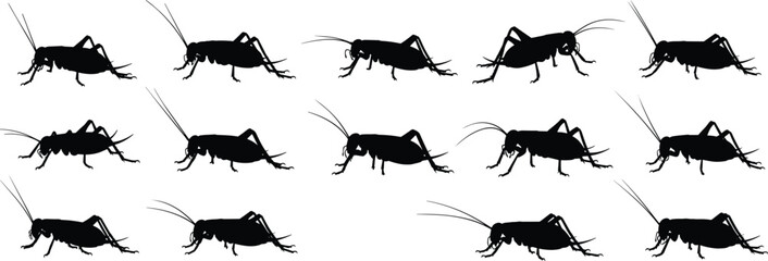 Cricket insect silhouettes set in various poses, black vector illustration of grasshopper-like bugs isolated on clean background for nature design © uzzala