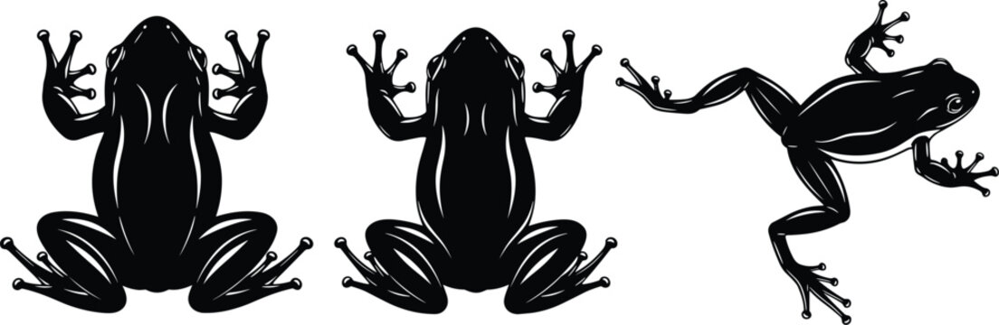 Frog silhouette vector set, top and side views of amphibian isolated on white background for wildlife and nature design