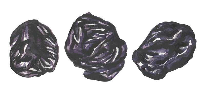 Prune, dried plums watercolor illustrations set. Hand drawn clipart of three purple prunes for a healthy food concept. Vegetarian organic snack, natural tasty sweets, vegan food, sweet dry fruit
