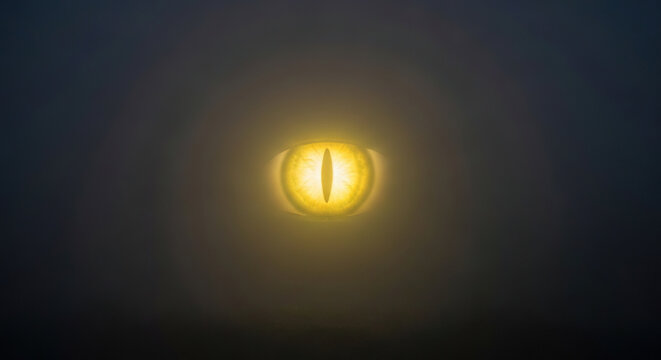 Glowing Eye in Dark Setting