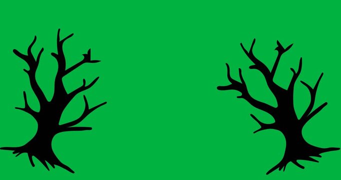 Halloween animation features creepy trees on a white background for festival night.