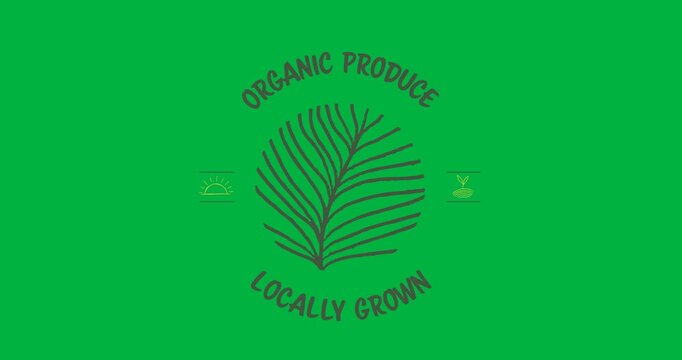 Digital animation of organic produce locally grown text banner with leaves icon on black background