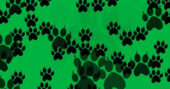 Digital animation of multiple dog paw icons against white background