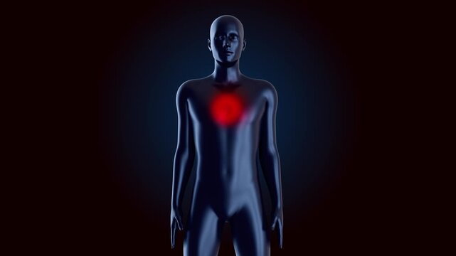 3D medical animation of human silhouette with glowing red area on chest representing heart pain, angina or respiratory inflammation. Conceptual visualization of heart attack or thoracic discomfort.