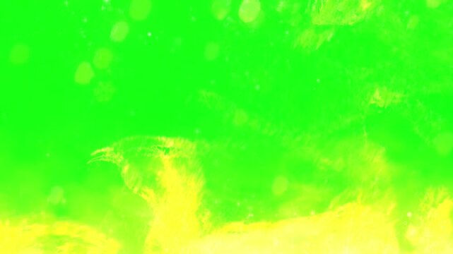 A vibrant green and yellow abstract background in a stunning video visual