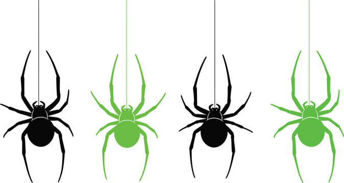 Four spiders in different poses with neon green highlights