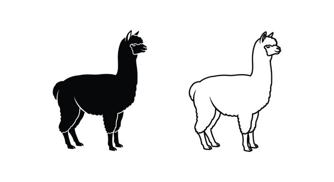 Alpaca vs Llama Comparison Guide Vector