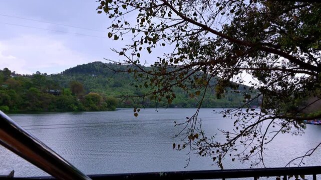 Time-lapse view of Naukuchiatal Lake, Naukuchiatal, India, framed by overhanging leafy branches and a lakeside railing, still waters stretching, densely forested hills beneath a muted cloudy sky.
