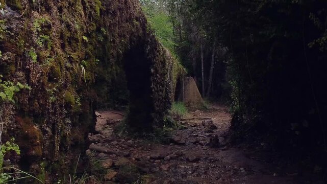Acueducto en una ruta de un bosque frondoso con agua 