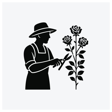 Gardener pruning rose bush silhouette