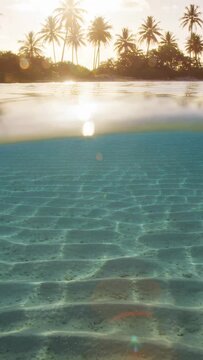 Vertical video: Bobbing by waves, camera capturing split-level seascape with palms for golden light
