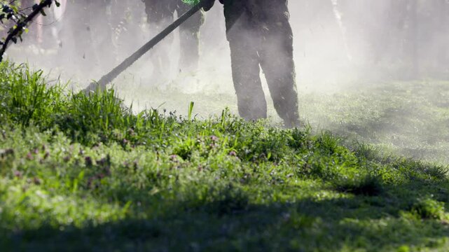 Low angle slow motion shot of string trimmers cutting through lush green grass with dust and debris illuminated by golden sunlight.