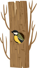 Small bird nesting inside a tree cavity as an illustration on white background © WinWin