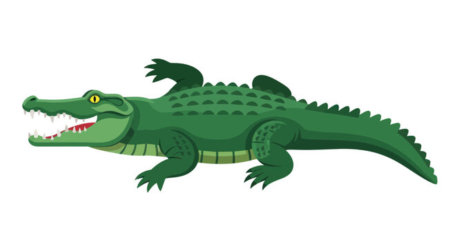 Green Alligator Illustration - Cartoon Style Reptile with Open Mouth