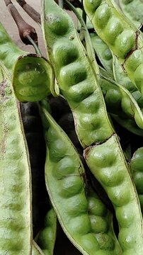 Tropical stink beans Parkia speciosa sold in local market, organic produce commonly used in Asian cooking and street food dishes.
