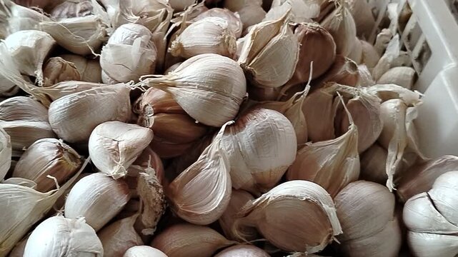 garlic displayed for sale, natural food ingredient with health benefits and culinary use in various dishes.