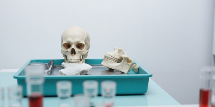 a human skull and a test tube on a table
