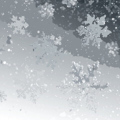 Obraz premium Whispers of Winter: A captivating digital illustration of delicate snowflakes dancing through the air, their intricate crystalline structures highlighted against a soft, ethereal backdrop.