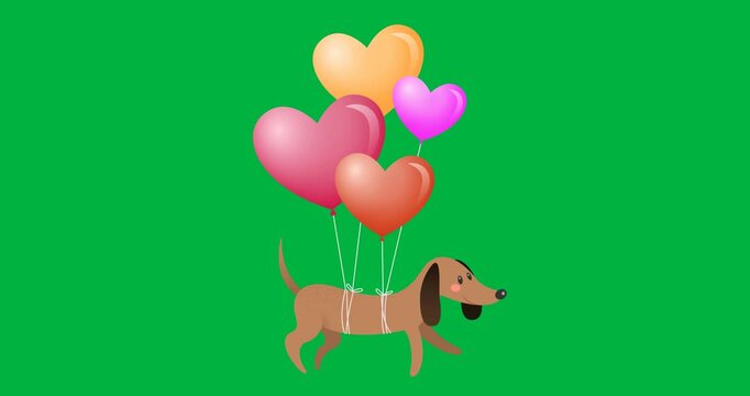 Digital animation of heart shaped balloons ties to a dog icon against black background