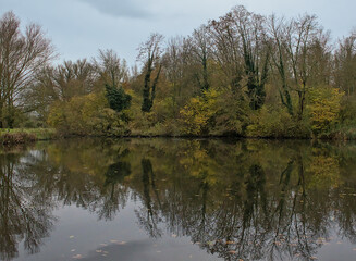Obraz premium dark pool with autumn trees reflecting in the water on a cloudy day in Bourgoyen nature reserve, Ghent, Flanders, Belgium 