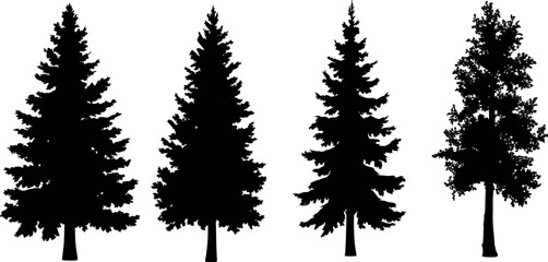 Fototapeta premium Silhouette set of detailed pine and deciduous trees isolated on white background, forest nature elements for landscape design and outdoor scenery