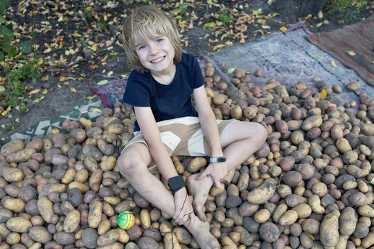 cute, barefoot 9-year-old boy sits on a large pile of freshly dug potatoes. A good harvest, a little helper, farm games. Harvest season, agriculture, eco-farming.