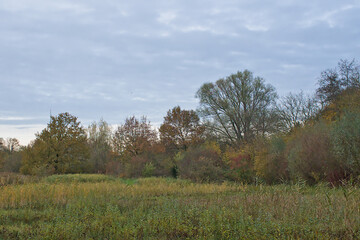 Fototapeta premium autumn marsh landscape in Bourgoyen nature reserve, Ghent, Flanders, Belgium 