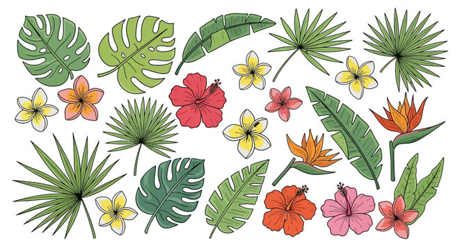 Tropical Leaves and Colorful Flowers Illustration.
