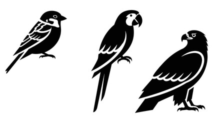Fototapeta premium Bird Silhouettes Collection: Sparrow, Parrot, and Eagle Icons