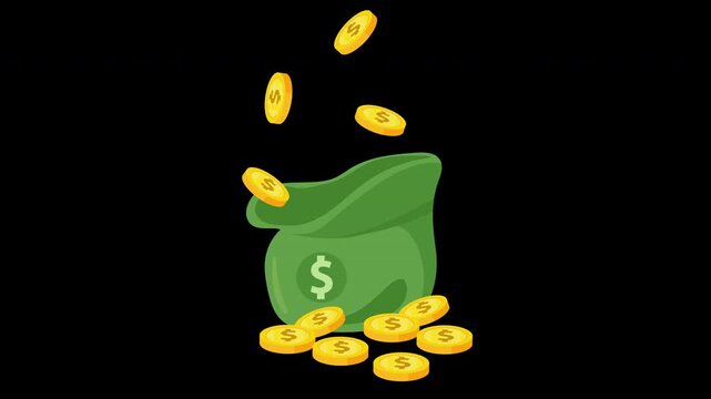 Falling Gold Coins into Money Bag Wealth Animation Loop with Alpha Channel
